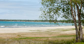Gobles Grove Beach