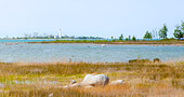 Miramichi Bay