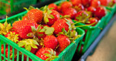 Hi-Berry Farm