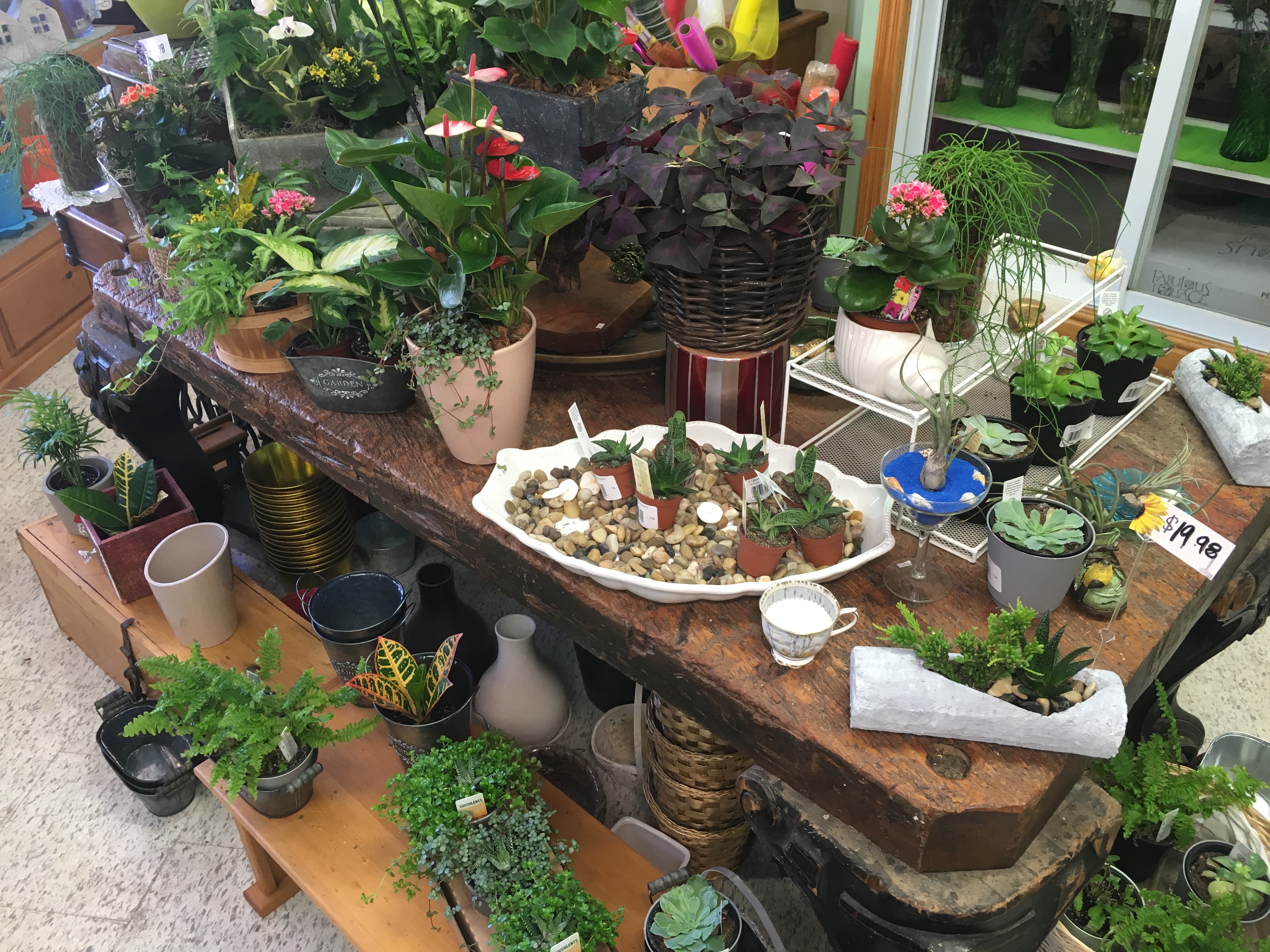 So many plants