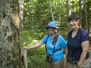 Birding Port Elgin