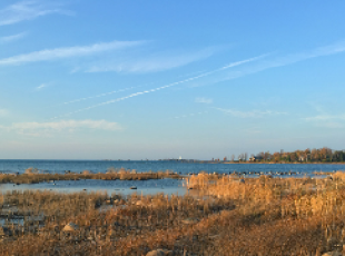 Miramichi Bay