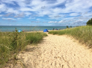 Southamptons Dunes System