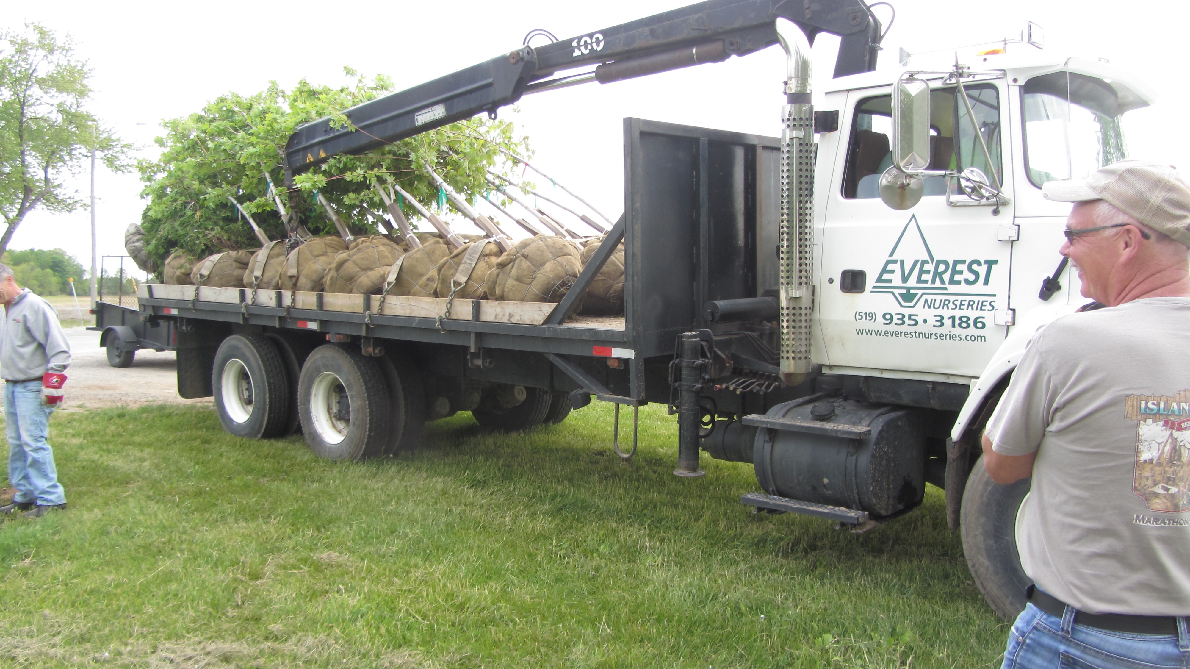 Yearly Tree Planting