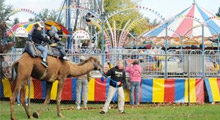 Festivals & Special Events