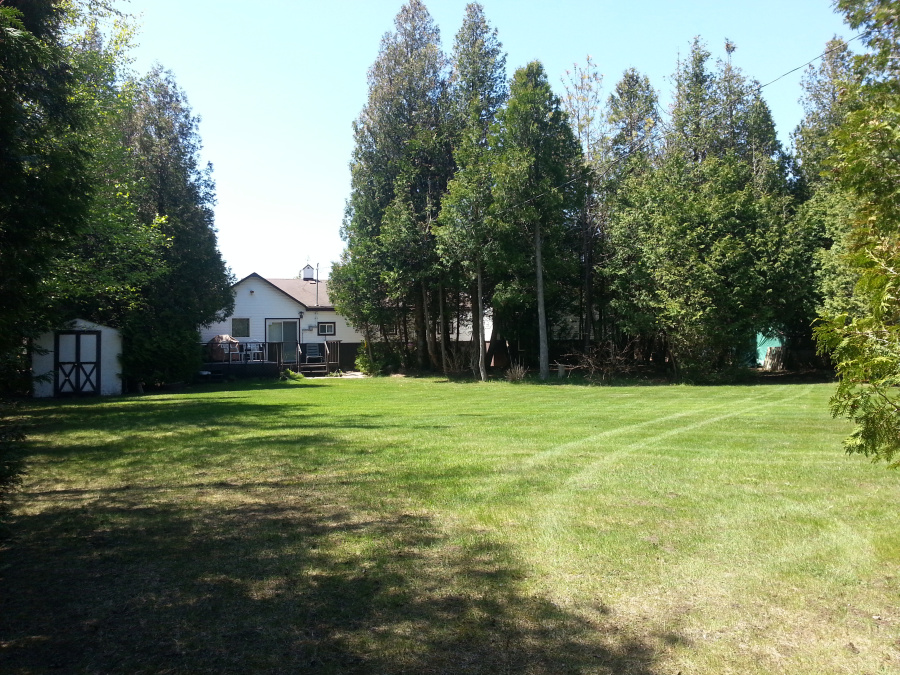 Back Yard - Plenty of room to play