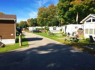 Campgrounds & Trailer Parks