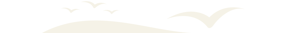 Slider Overlay